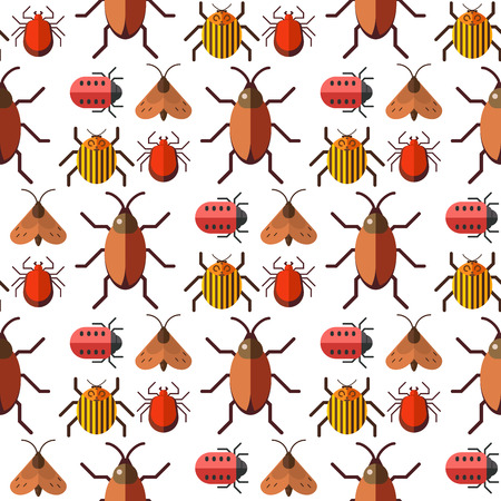 Pattern Bugs