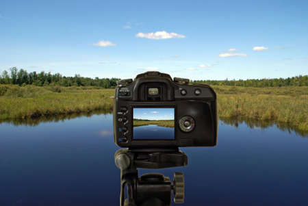 Picture