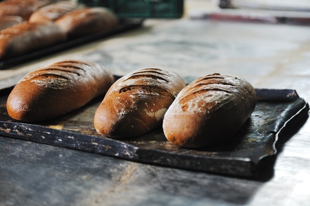 bread bakery food factory production with fresh products - Stock Image