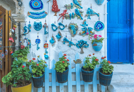 View of blue door and flowe...