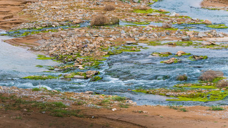 landscape of a mountain river with green grass and stones in the foregroundの写真素材