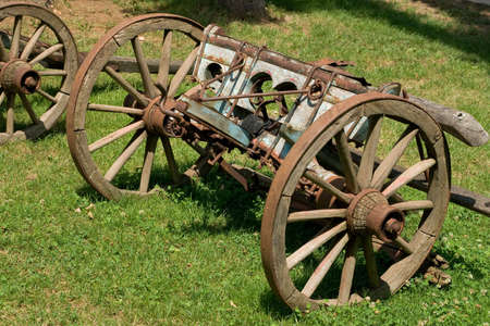 Old coach on green grass