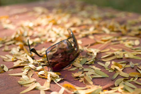 Sunglasses on wooden table with yellow leaves around themの写真素材