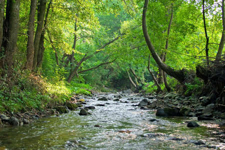 Mountain spring