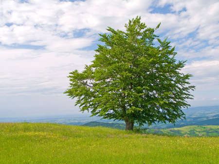 Mountain landscapeの写真素材
