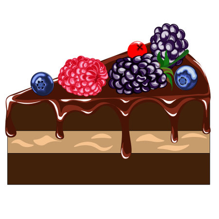 Chocolate cake with fruit isolated on white. Vector. Art & Illustration.