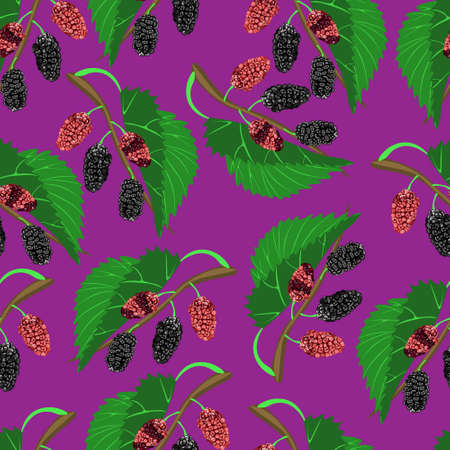 Black mulberry on lilac background. Seamless pattern, vector.