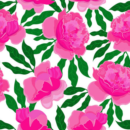 Pink peonies on white background. Seamless floral pattern, vector.のイラスト素材
