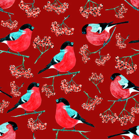 Watercolour Christmas pattern, bullfinches and mountain ash, red background. Seamless pattern.の写真素材