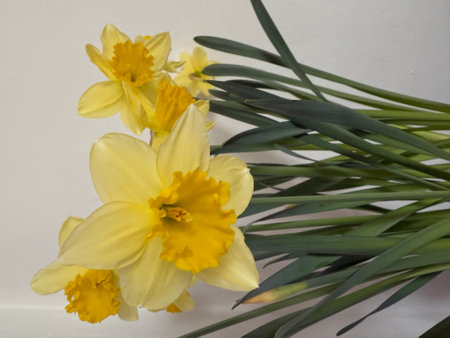Colorful floral bouquet arrangement, yellow narcissus in bloom. Floral background.