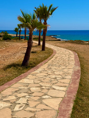 Tourist recreation area. Walking path near the sea.