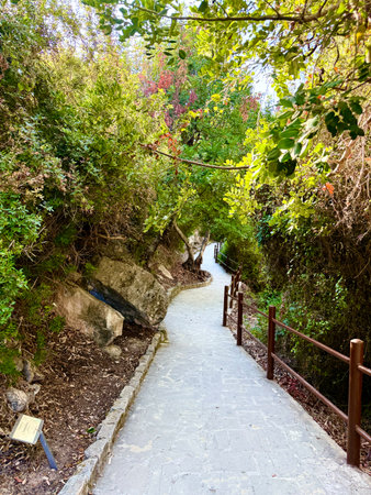 Concrete pathway through lush greenery outdoors. A walking path paved with stones.