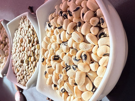 White beans, lentils, and black-eyed peas in white bowls on a black surface. Healthy, wholesome,...