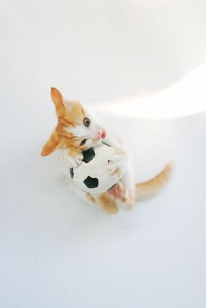 my baby footbali-0227.jpgの写真素材