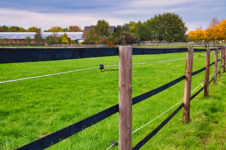 Wooden fence in a field with grass and trees in the backgroundの写真素材