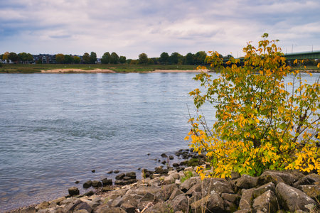A view of the shoreline of a lake in the fall.
