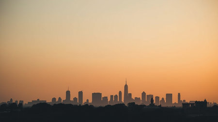 Downtown Los Angeles skyline at sunset, California, United States.の素材