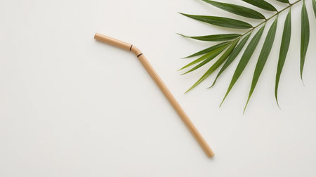 Tropical palm leaf and bamboo straw on white background. Flat lay, top viewの素材