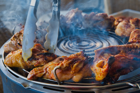 Grilled chicken wings on a barbecue grill, close-up.