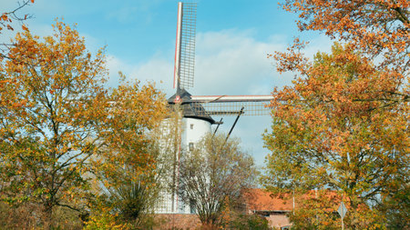Traditional Dutch windmills on the background of the autumn landscape.の写真素材