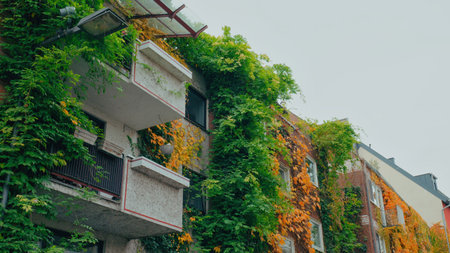 Vibrant green vines and colorful leaves clinging to the sides of multi-story buildings in a busy city.の写真素材