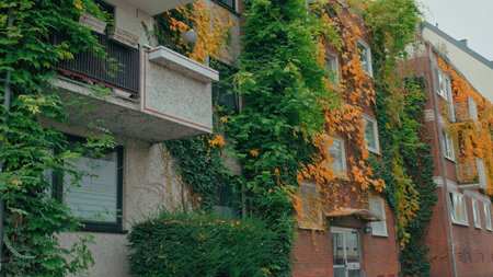 An apartment building is draped in colorful leaves and vines, showcasing a beautiful autumn scene.の写真素材