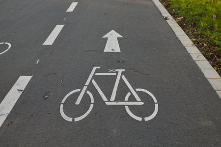 A clear bicycle path marking is visible on the asphalt in Neuss, Germany. The symbol points forward,...