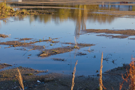 In Neuss, Germany, water stands in a flooded area, creating serene reflections. Grasses and plants peek through the water, showcasing the interaction between land and water in the early evening light.の写真素材