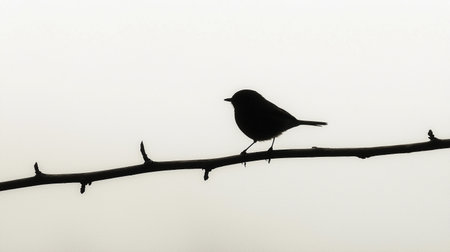 A small bird perches on a thin branch against a foggy morning backdrop, adding charm to the minimal landscape.の素材