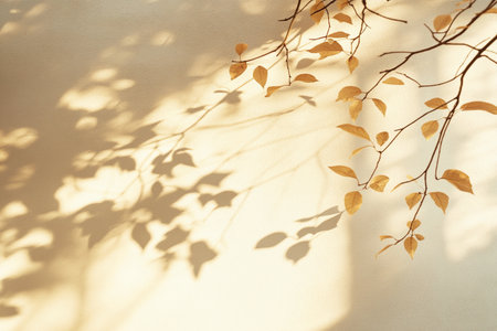 Golden light casts delicate leaf shadows on a smooth wall during late afternoon, creating a serene atmosphere.の素材