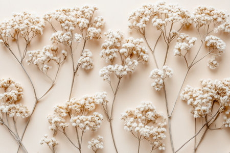 Delicate dried flowers are spread out on a light beige surface, perfect for crafts or home decor.の素材