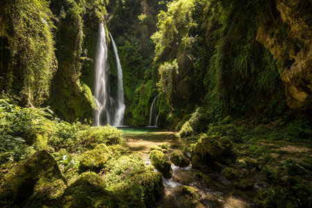 Soft sunlight filters through leaves, illuminating a beautiful waterfall surrounded by green foliage and rocks.の素材