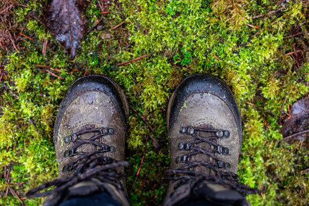 Wet boots stand on mossy ground during a hike in a natural setting with green plant life surrounding.の素材