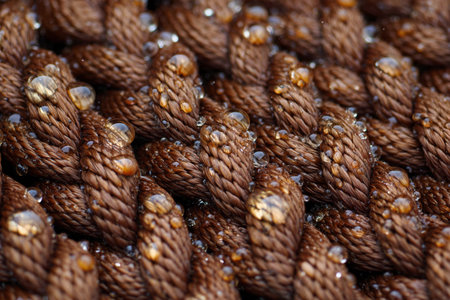 Rope fibers covered in morning dew, revealing natural textures and details outside.の素材