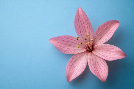 A flower sits alone on a light blue background, showing its shape and color with no other distractions.の素材