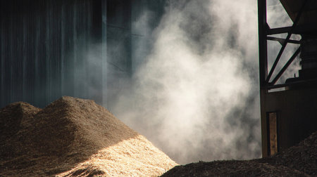 A wood chip pile at an eco-plant shows steam rising from the surface, creating a misty look in the area.の素材