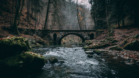 A stone bridge spans over a rushing river surrounded by trees shedding leaves during autumn.の素材