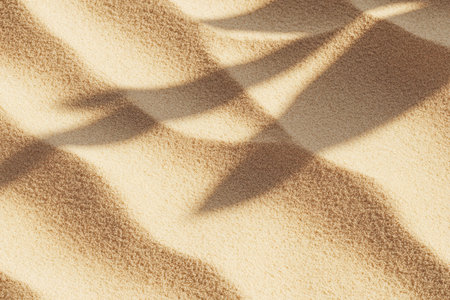 Soft patterns of desert sand are illuminated by warm golden light, capturing the natural shapes and textures.の素材