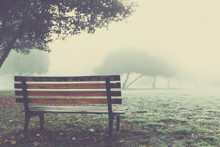 A bench stands alone in a foggy park during the morning. Trees are faintly visible.の素材