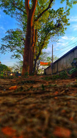 Hi this is Shafiqulの写真素材