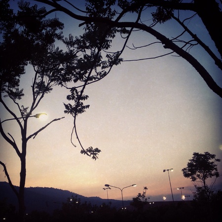 Sunset todayの素材