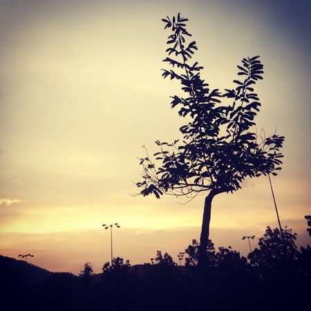 Sunset todayの素材