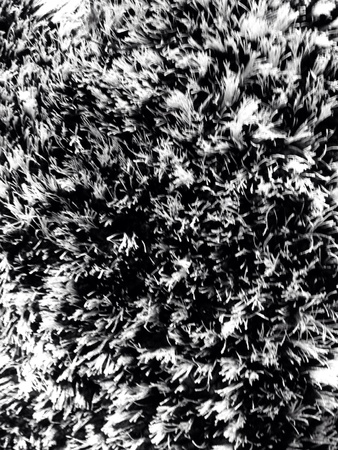 Carpet textureの素材