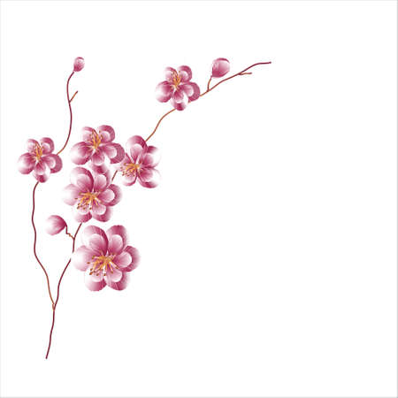 beautiful branch of Sakura flowers , slim, elegant ,gentle, pink colorのイラスト素材