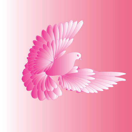 dove ,beautiful ,delicate ,pink, light, loveのイラスト素材
