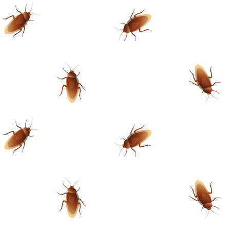 cockroach red seamless pattern on white backgroundのイラスト素材