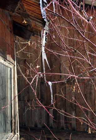 Icicles hang from the roof of the wooden structure.の写真素材