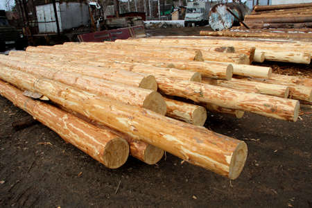 Little sawmill in the open. Round timbers lying on the ground.の写真素材