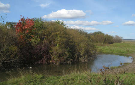 Amazing autumn landscape: turn of a small river and colorful leaves of bushes.の写真素材