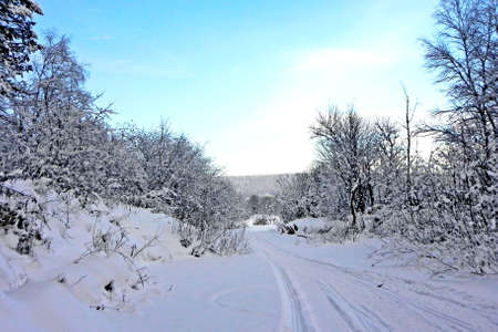 This is a real fairy tale. In the center of the photo - the road, covered with snow. On the sides of the road are shrubs. Snow lies on each branch and creates the impression of a certain miracle.の写真素材